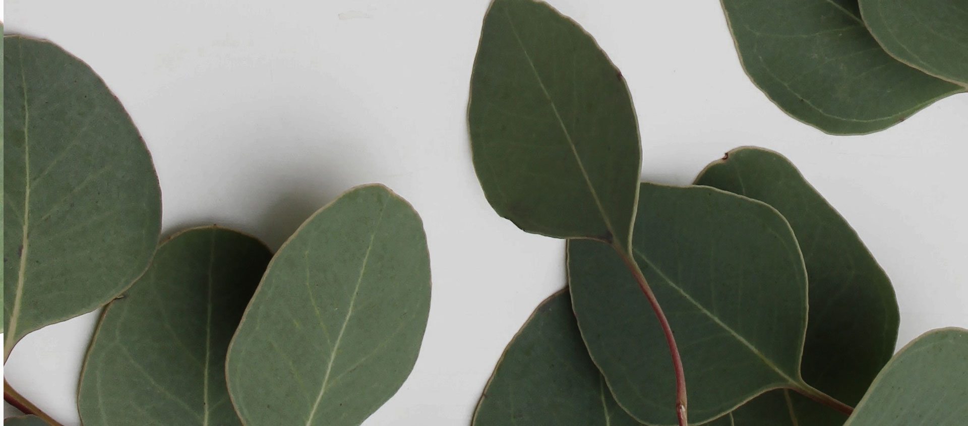 Взыскание ущерба от экологических правонарушений в Брюховецкой